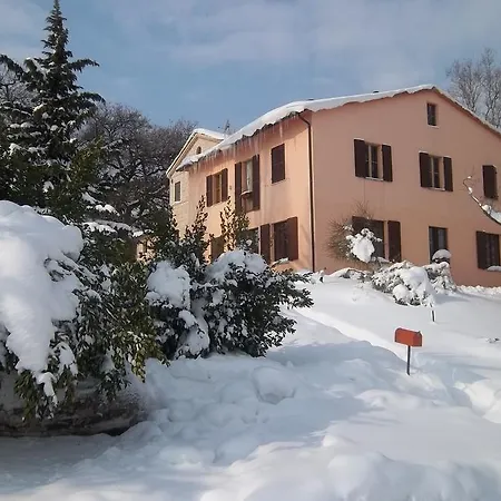 Oliodivino