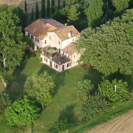 Oliodivino